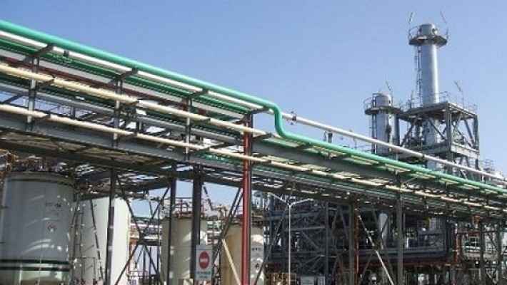 La Unión Europea autorizó el ingreso de biodiésel argentino
