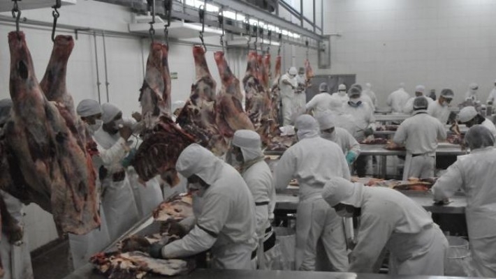 Piden a la Justicia que frene la baja del peso mínimo de faena