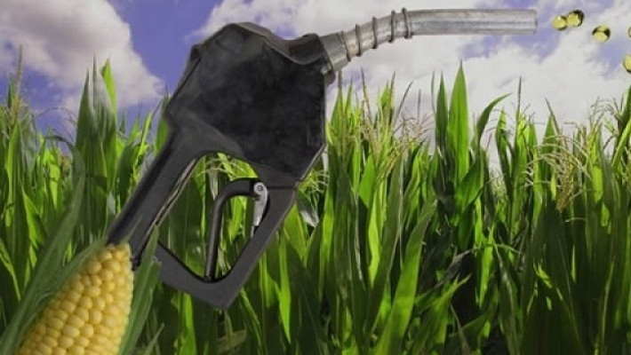 Un biocombustible en caída: mercado complicado, precios elevados y cierre de empresas
