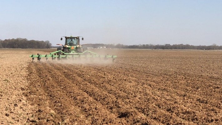 Estados Unidos: las pérdidas en maíz superarían la producción total de la Argentina